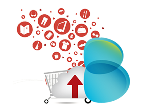 Bigcommerce Product Data Entry Services