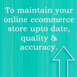 ecommerce data entry