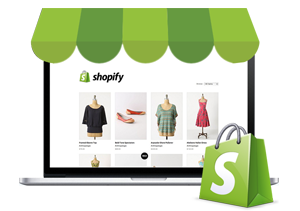 Shopify Product Data Entry Services